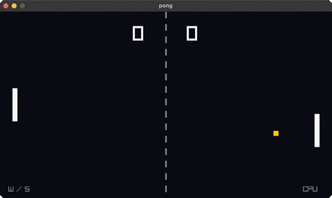 pong